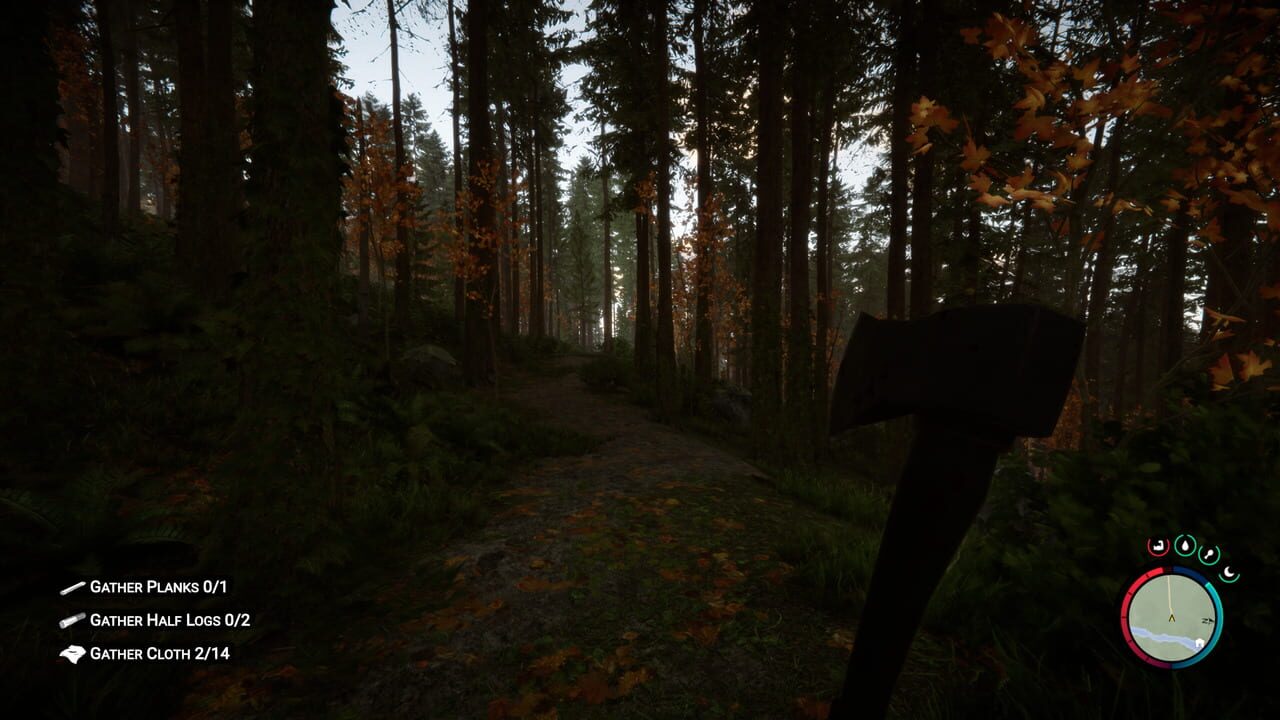Capture de Sons of the Forest