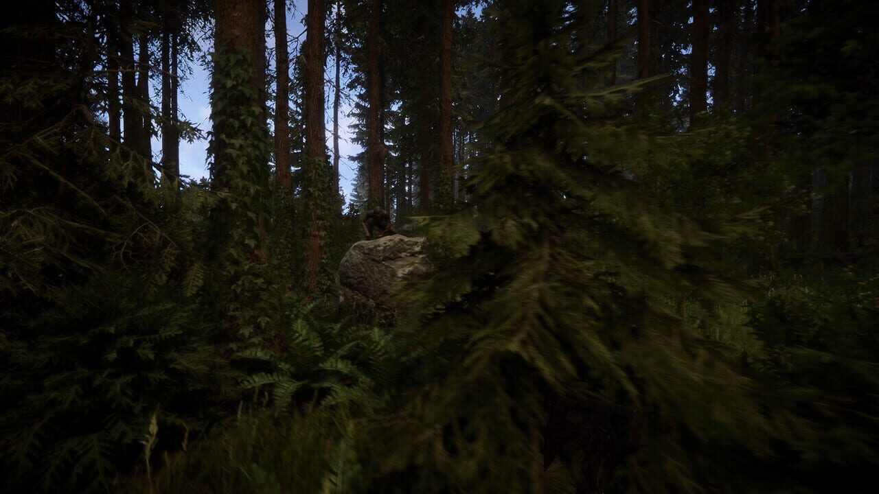 Capture de Sons of the Forest