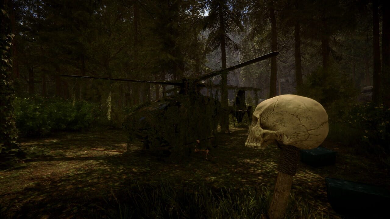 Capture de Sons of the Forest