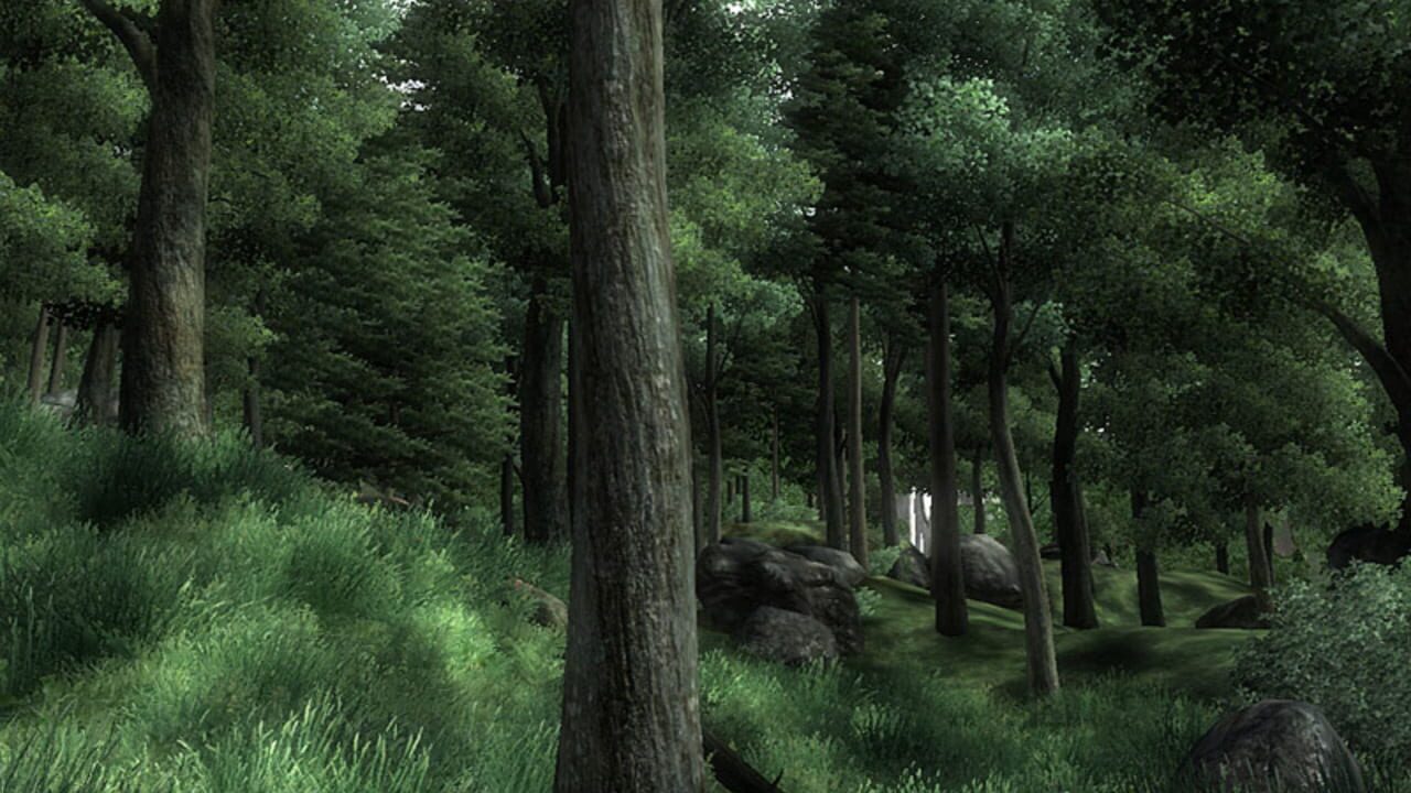 Capture de The Elder Scrolls IV: Oblivion
