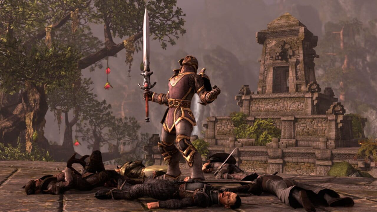 Capture de The Elder Scrolls Online