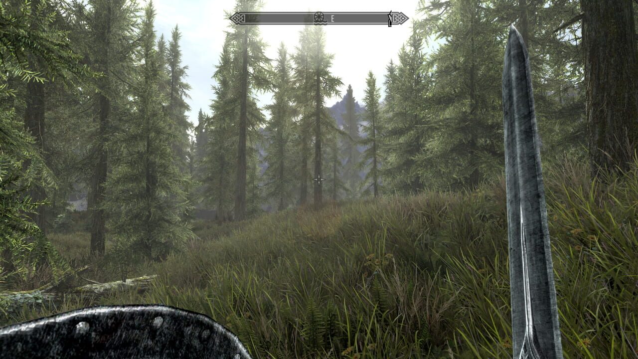 Capture de The Elder Scrolls V: Skyrim
