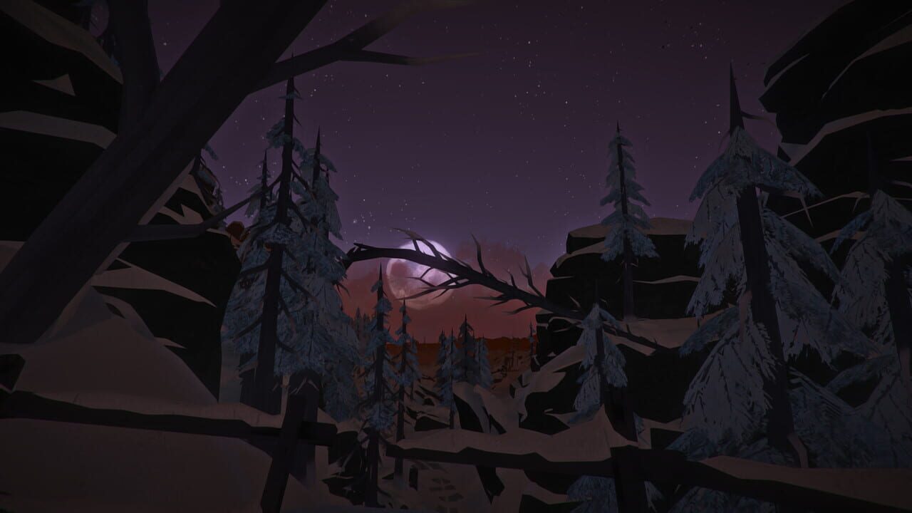 Capture de The Long Dark