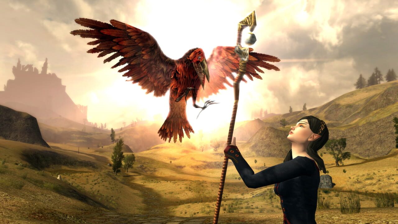 Capture de The Lord of the Rings Online