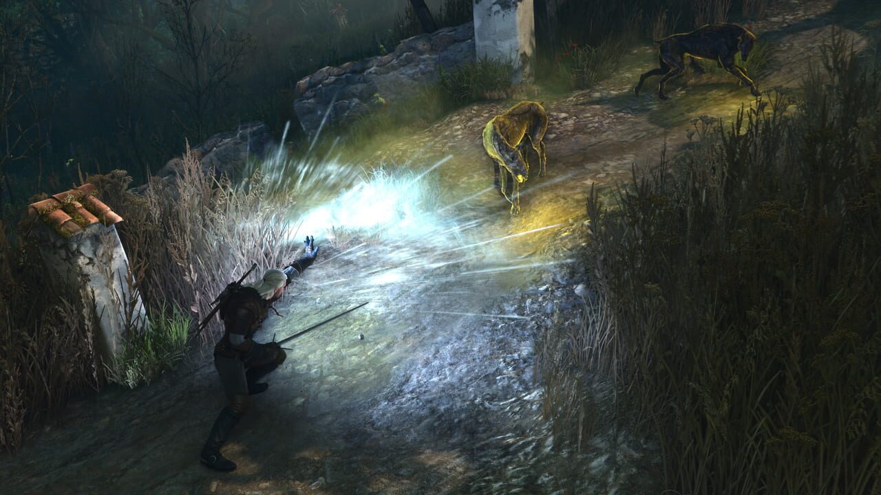 Capture de The Witcher 3: Wild Hunt Remastered