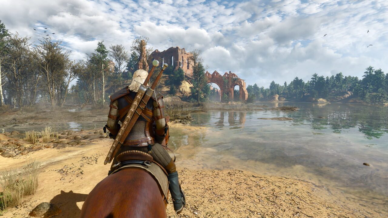 Capture de The Witcher 3: Wild Hunt