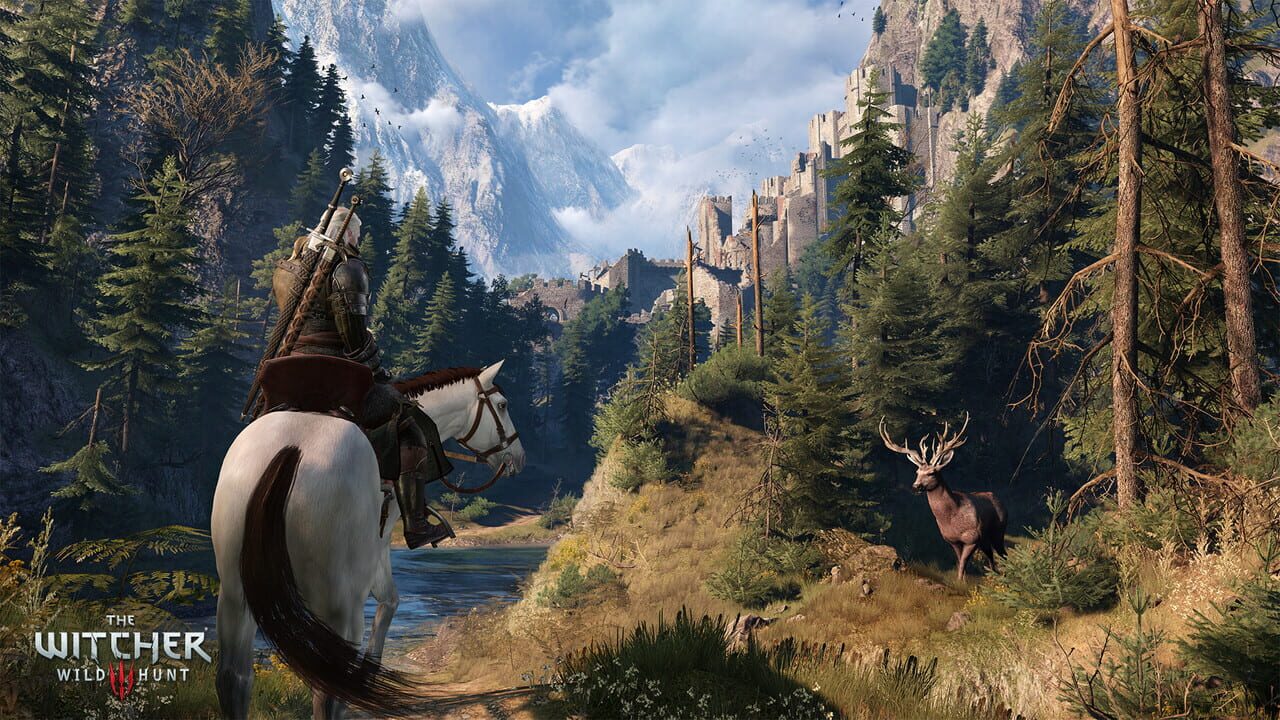 Capture de The Witcher 3: Wild Hunt