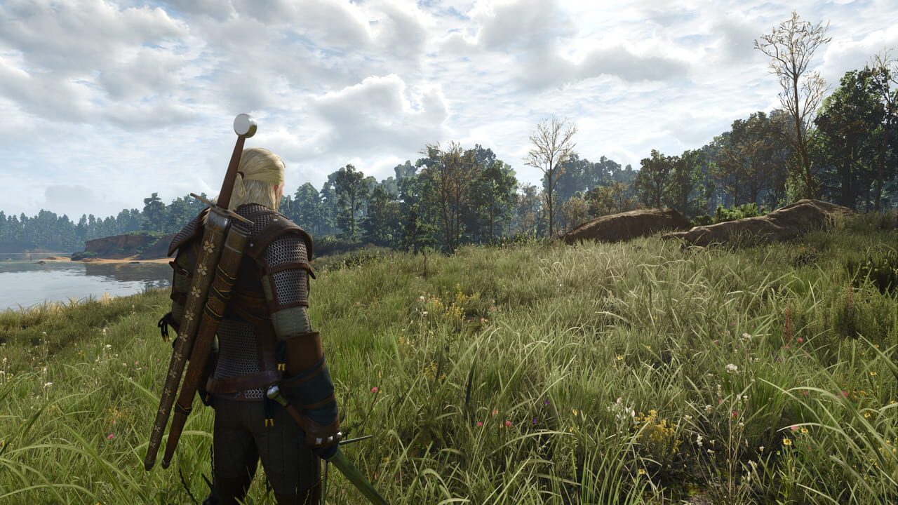Capture de The Witcher 3: Wild Hunt