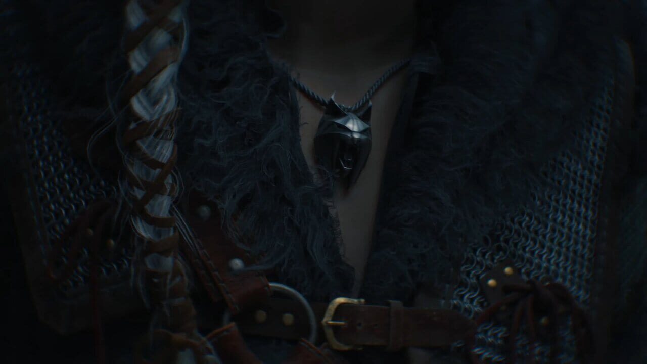 Capture de The Witcher IV
