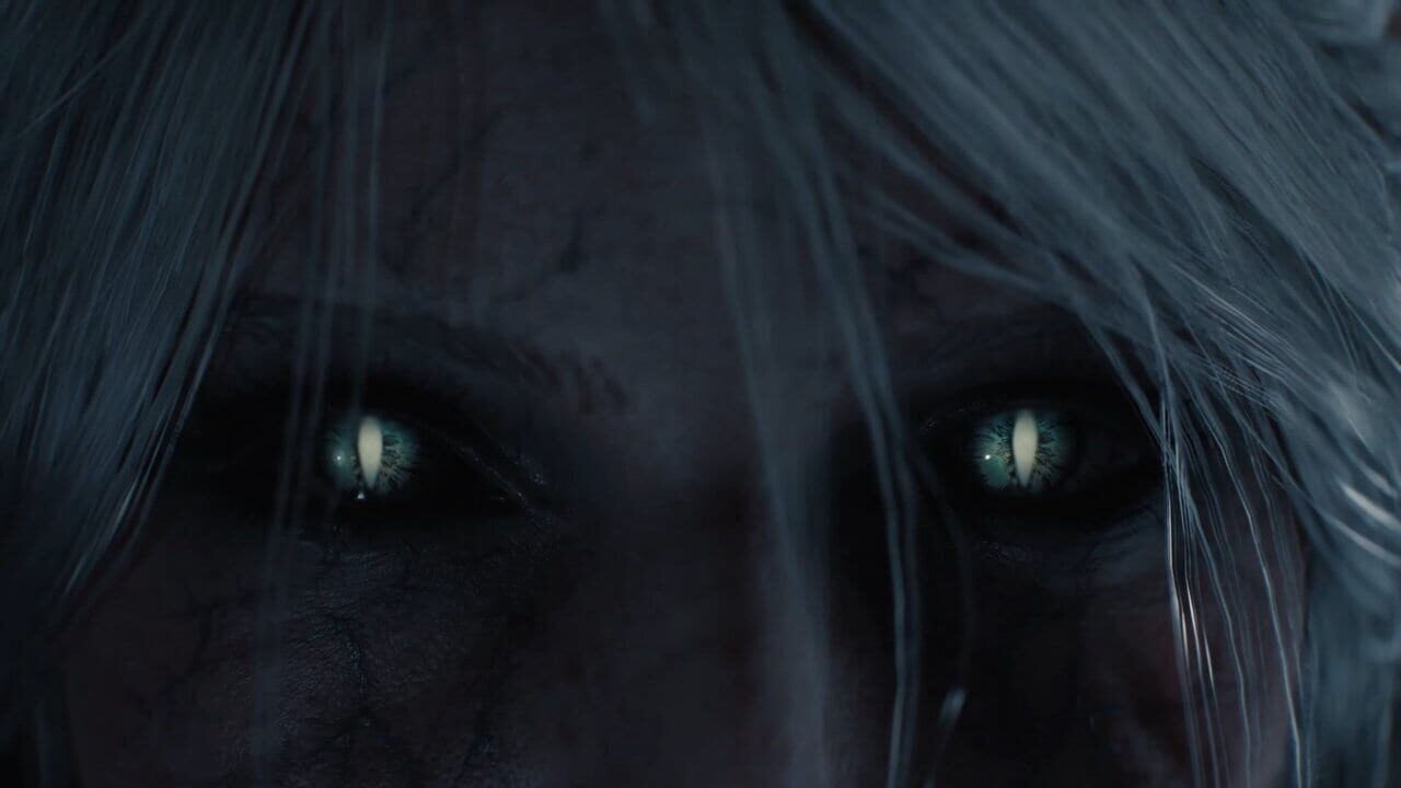 Capture de The Witcher IV