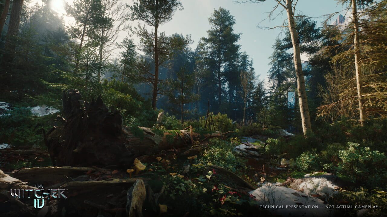Capture de The Witcher IV