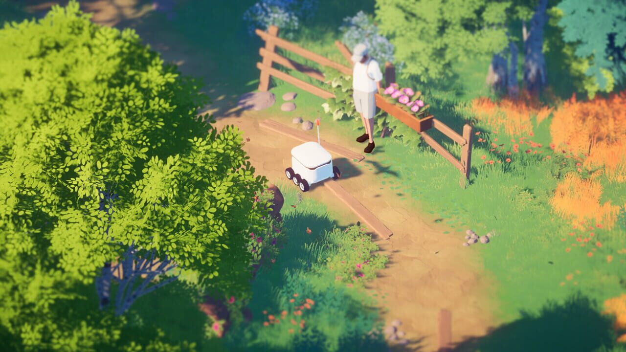 Capture de Tiny Delivery