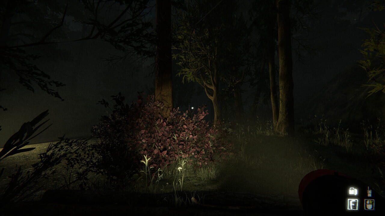 Capture de Uncanny Tales: The Watcher