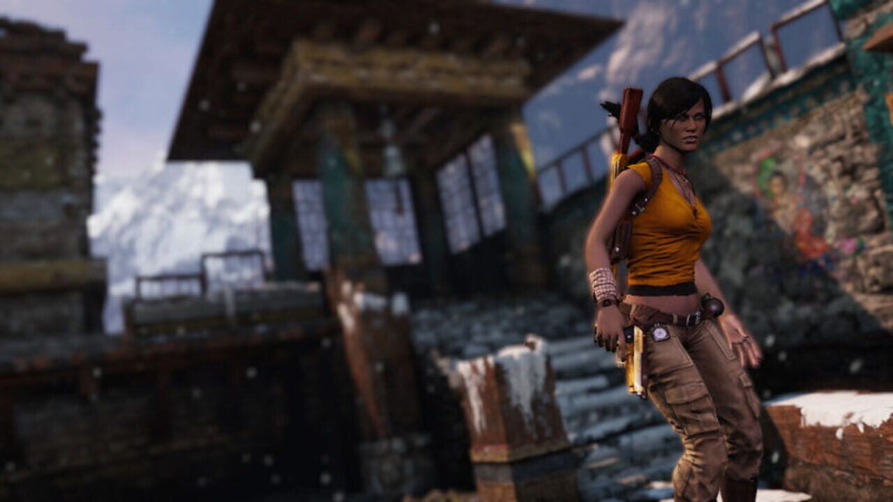Capture de Uncharted 2: Among Thieves