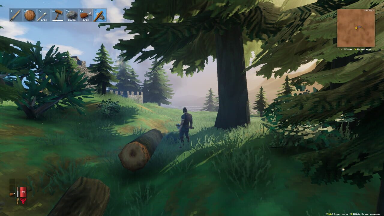Capture de Valheim