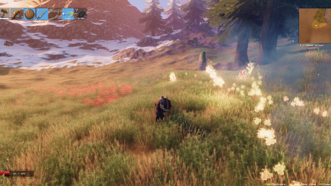 Capture de Valheim