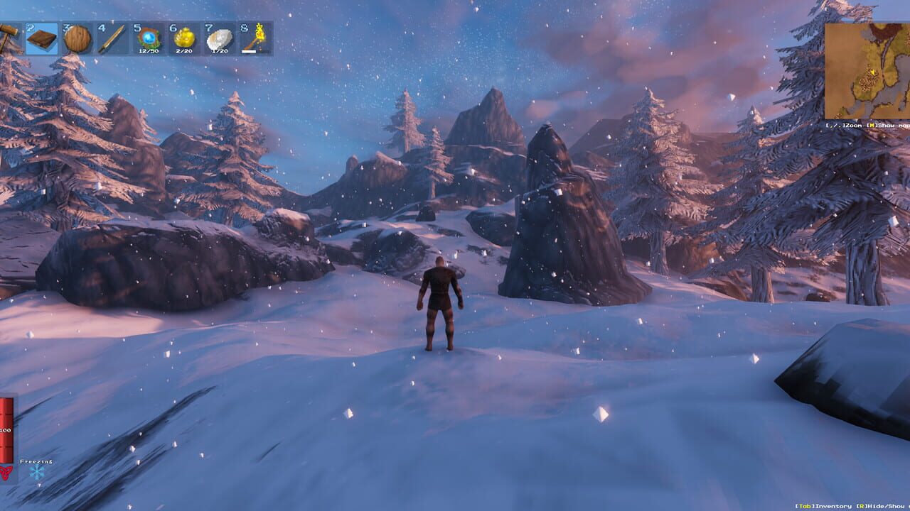 Capture de Valheim
