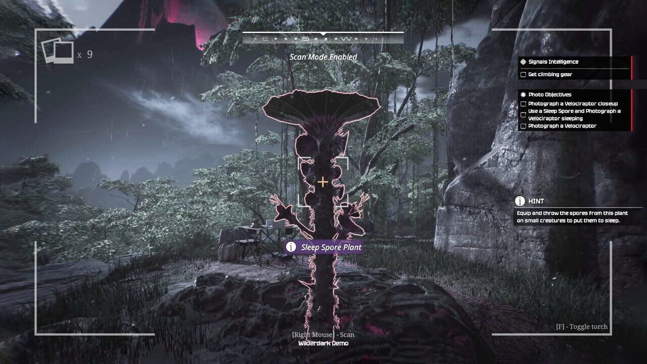 Capture de Wilderdark