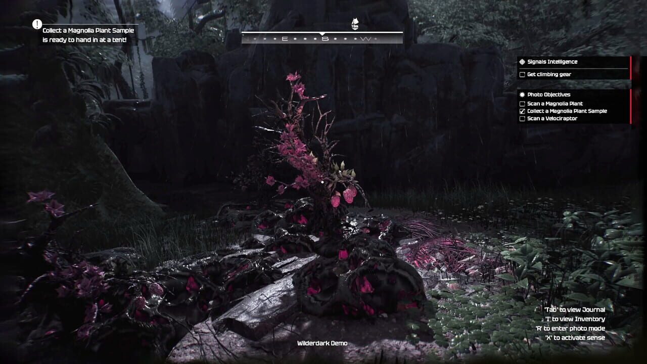 Capture de Wilderdark