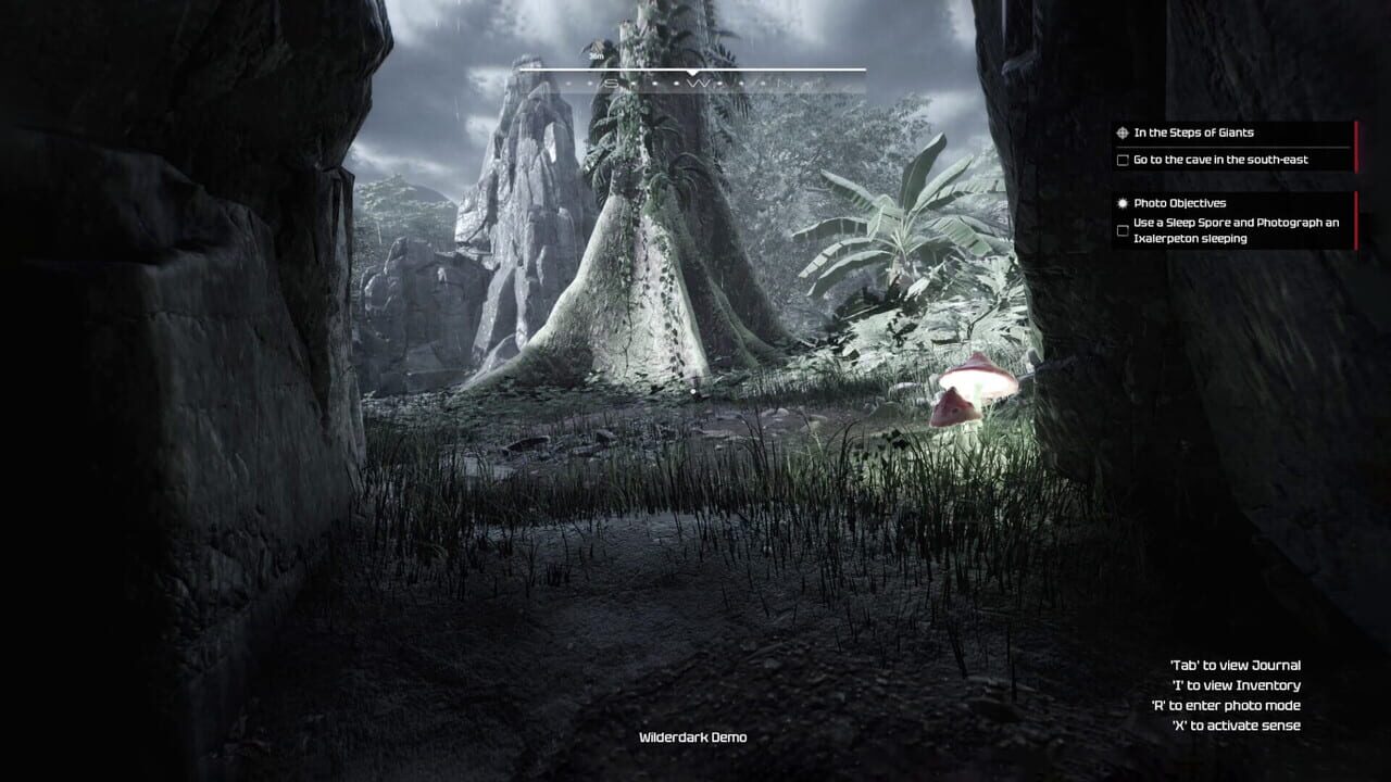 Capture de Wilderdark